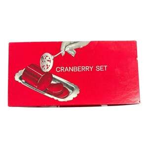 Vintage Cranberry Spoon Set WM. Rogers Silverplate Plate Original Box 10”